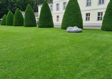 Repräsentationsrasen wird regelmäßig gemäht.