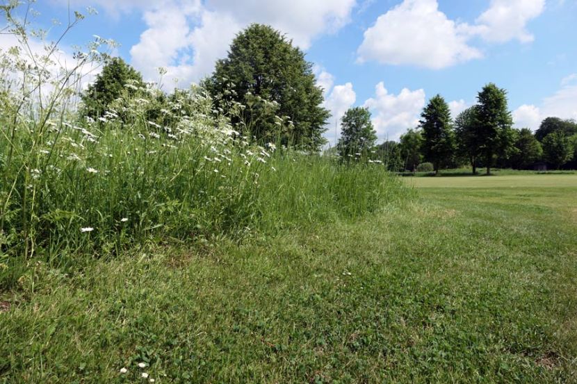Golfplatz ein Ort für Vielfältigkeit