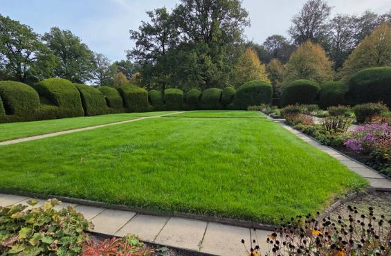 Rasen im Klostergarten am Schlosss Clemenswerth.
