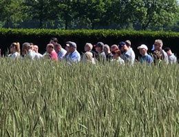 Gräser im Fokus des  137. DRG-Rasenseminars in Krefeld