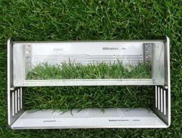 „Pitch of the Year Award  2018/19“