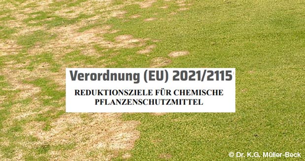 Stellungnahme zur Sicherung der Qualität des Sportrasens in Deutschland