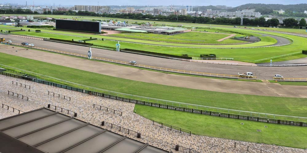 Tokyo Racecourse (JRA).