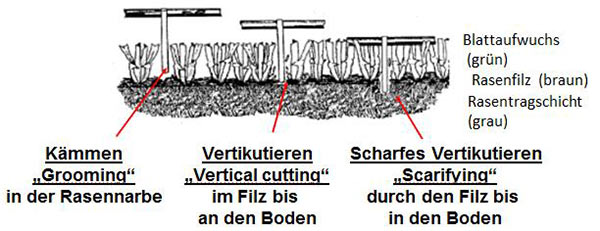 Schematische Darstellung der Arbeitstiefen für vertikal schneidende Werkzeuge                           	zur Pflege der Rasennarbe