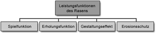 Leistungskriterien einer Rasenfläche