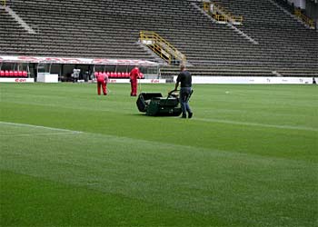 Stadionmäher mit Fangkorb bewirkt helle Streifen