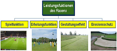 Abbildung 1