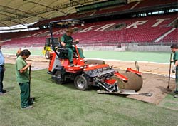 WM-Rasen