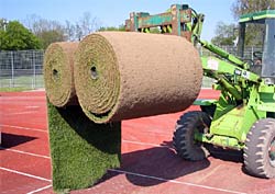 WM-Rasen