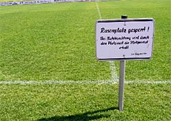 WM-Rasen