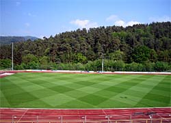 WM-Rasen