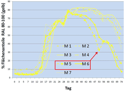 Entwicklung Gelbanteile (RAL 80 bis 100) Tag 0 bis 73