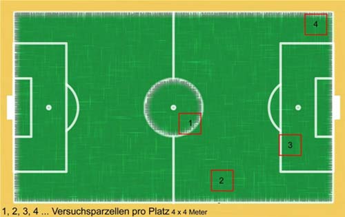 Lage der vier Messparzellen auf den zu untersuchenden Plätzen.