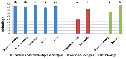 Auswertung der Keimfähigkeitsuntersuchung