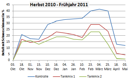 Bonitur des Befalls mit Schneeschimmel