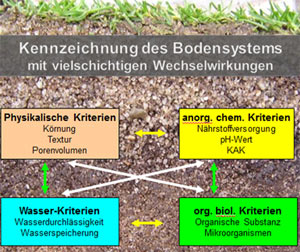 Bodeneigenschaften mit Wechselwirkungen