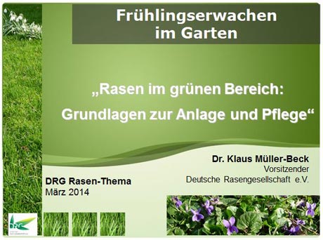 Sportrasen im Januar mit ansprechender Narbendichte.
