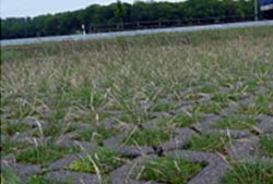 Parkplatzrasen/Wege