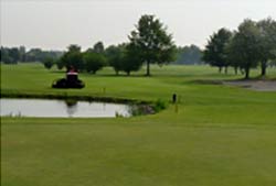Golfgrün