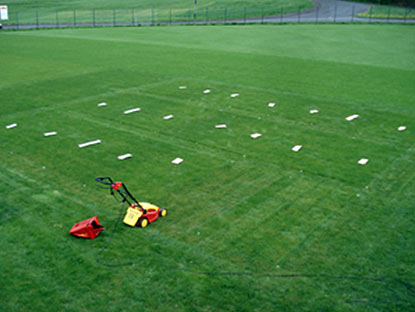 Aufnahme des Schnittgutes im P-Düngungsversuch zur Ermittlung des Aufwuchses