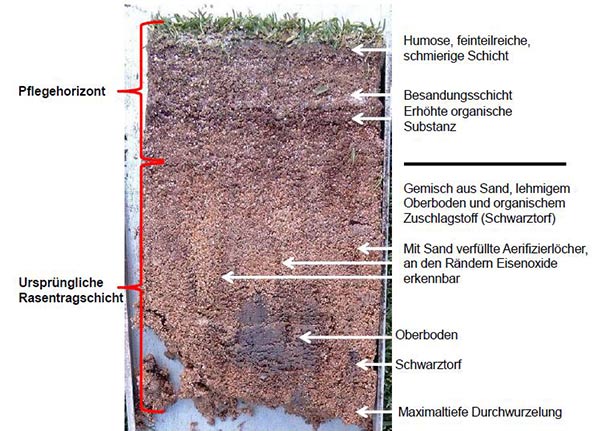 Bodenprofil eines Golfrasens 