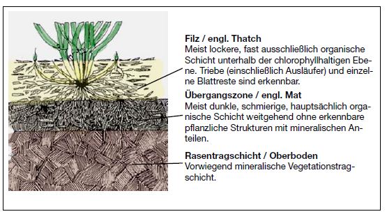 schematisches Rasenprofil mit einer Horizontbildung